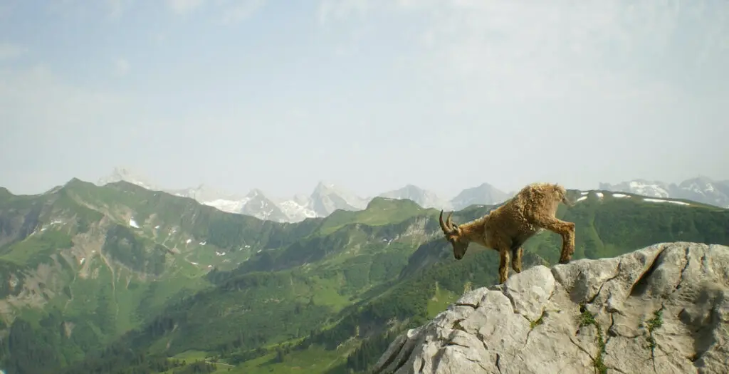 Mountain goat standing on a rocky ridge with distant peaks in the background